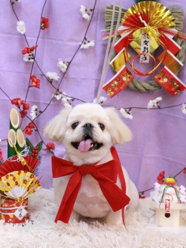 20230110エイトくん